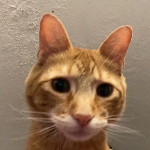 Meet your Posher, Jordan